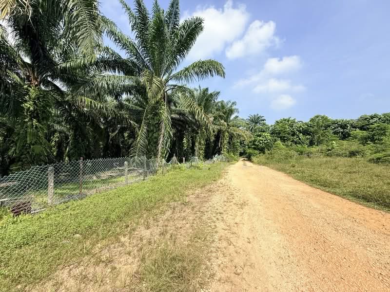 Agricultural Land for Sale in Antara Gapi (Ulu Yam) - Sam Jamal - Exterior - PropertyGuru.com.my
