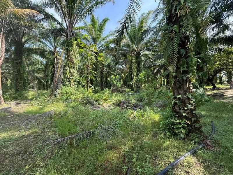 Agricultural Land for Sale in Antara Gapi (Ulu Yam) - Sam Jamal - Exterior - PropertyGuru.com.my