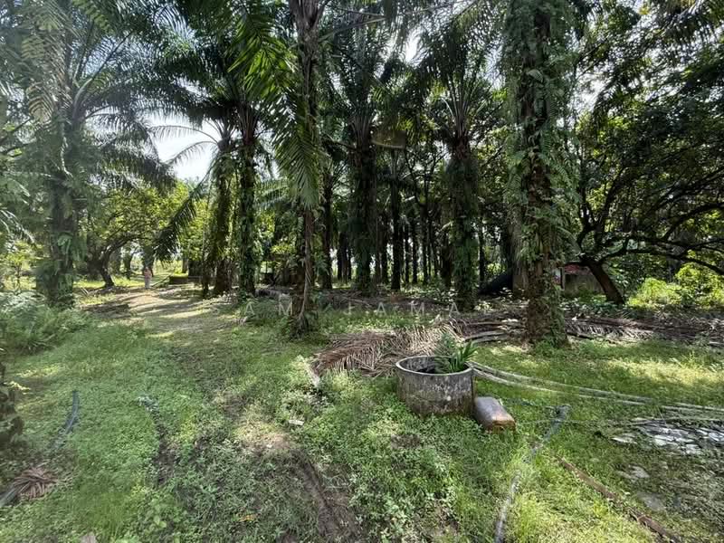 Agricultural Land for Sale in Antara Gapi (Ulu Yam) - Sam Jamal - Exterior - PropertyGuru.com.my