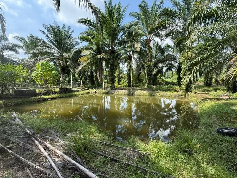 Agricultural Land for Sale in Antara Gapi (Ulu Yam) - Sam Jamal - Garden - PropertyGuru.com.my