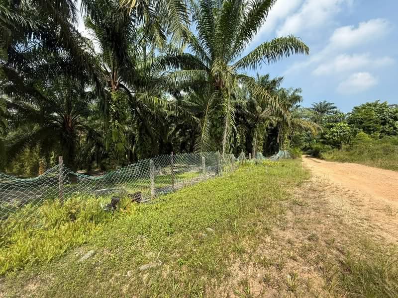 Agricultural Land for Sale in Antara Gapi (Ulu Yam) - Sam Jamal - Exterior - PropertyGuru.com.my