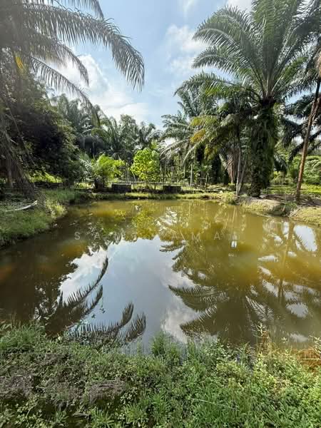 Agricultural Land for Sale in Antara Gapi (Ulu Yam) - Sam Jamal - Garden - PropertyGuru.com.my