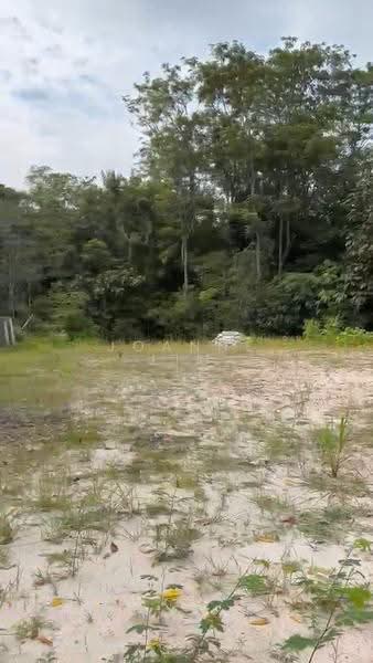 Agricultural Land for Rent in Sungai Udang (Melaka) - Ann Lim - PropertyGuru.com.my