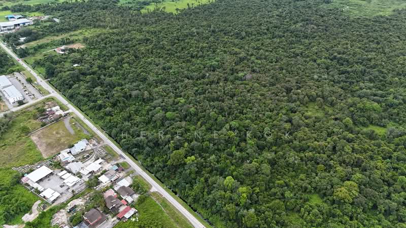 Tanah Pertanian untuk Dijual di Matang (Kuching) - Sherene Kok - Exterior - PropertyGuru.com.my