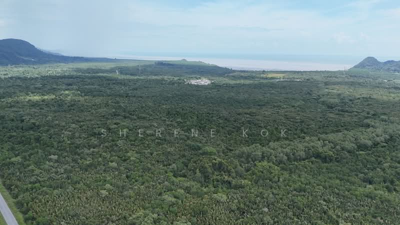Tanah Pertanian untuk Dijual di Kuching (Sarawak) - Sherene Kok - Exterior - PropertyGuru.com.my