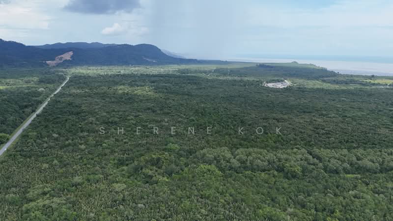 Tanah Pertanian untuk Dijual di Kuching (Sarawak) - Sherene Kok - Exterior - PropertyGuru.com.my