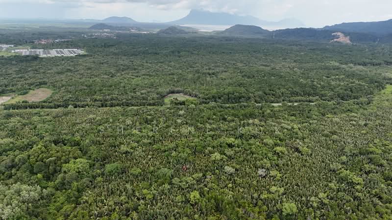 Tanah Pertanian untuk Dijual di Kuching (Sarawak) - Sherene Kok - PropertyGuru.com.my