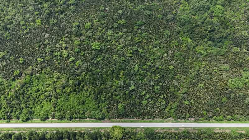 Tanah Pertanian untuk Dijual di Kuching (Sarawak) - Sherene Kok - PropertyGuru.com.my