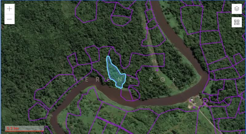Agricultural Land for Sale in Bau (Sarawak) - Sherene Kok - PropertyGuru.com.my