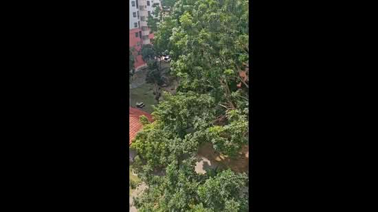 Kondominium untuk Disewa di Vista Millennium Condominium - Samantha Chooi - PropertyGuru.com.my