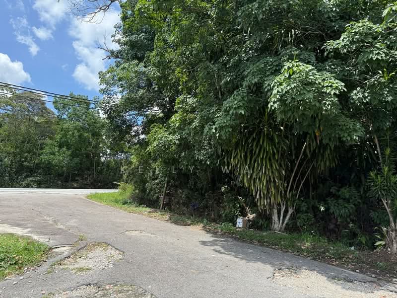 Agricultural Land for Sale in Sungai Tiram (Ulu Tiram) - Kelly Wai - Exterior - PropertyGuru.com.my