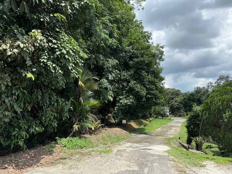 Agricultural Land for Sale in Sungai Tiram (Ulu Tiram) - Kelly Wai - Exterior - PropertyGuru.com.my