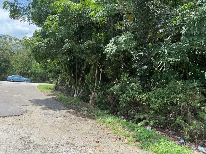 Agricultural Land for Sale in Sungai Tiram (Ulu Tiram) - Kelly Wai - Exterior - PropertyGuru.com.my