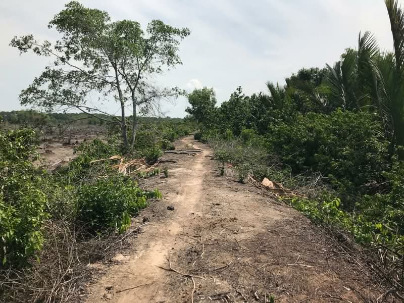 Agricultural Land for Sale in Banting (Selangor) - Kelly Wai - Exterior - PropertyGuru.com.my