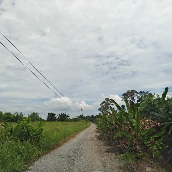 Agricultural Land for Sale in Kuching (Sarawak) - Sherene Kok - Exterior - PropertyGuru.com.my