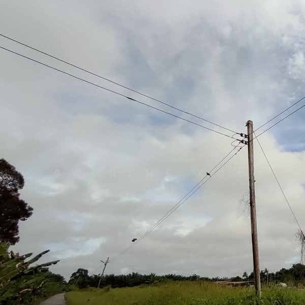 Agricultural Land for Sale in Kuching (Sarawak) - Sherene Kok - Exterior - PropertyGuru.com.my