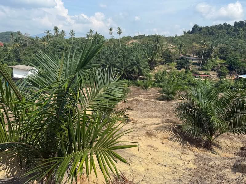 Tanah Pertanian untuk Dijual di Kuala Pilah (Negeri Sembilan) - Kelly Wai - Exterior - PropertyGuru.com.my