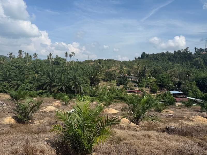 Tanah Pertanian untuk Dijual di Kuala Pilah (Negeri Sembilan) - Kelly Wai - Exterior - PropertyGuru.com.my