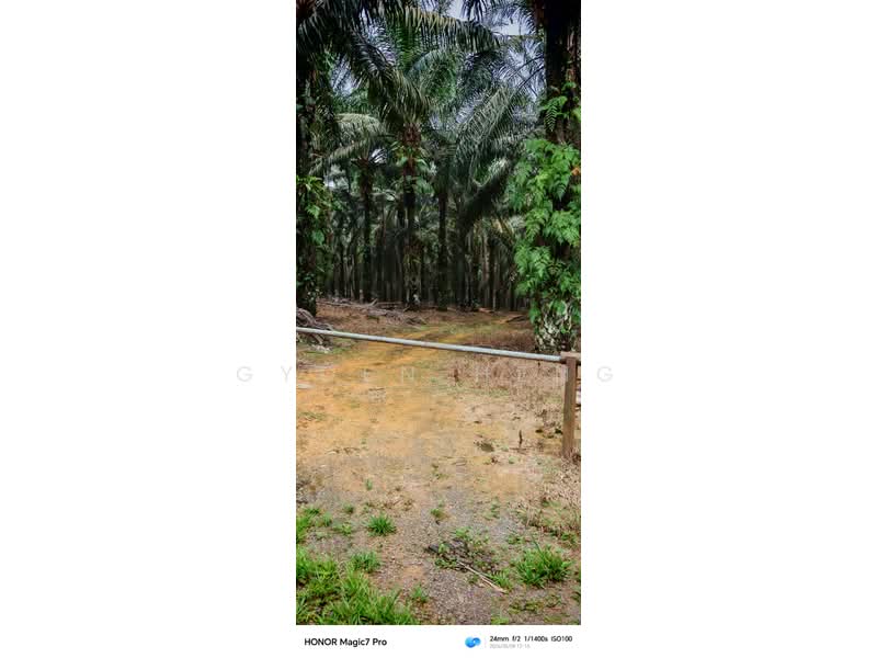 Tanah Pertanian untuk Dijual di Mukim Hulu Sungai Johor (Kota Tinggi) - Gyden Heng - PropertyGuru.com.my