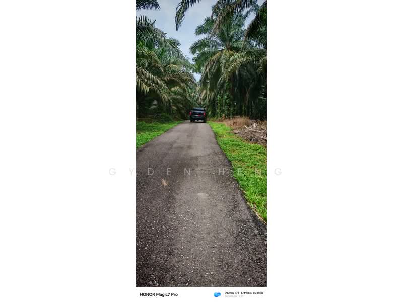 Tanah Pertanian untuk Dijual di Mukim Hulu Sungai Johor (Kota Tinggi) - Gyden Heng - PropertyGuru.com.my