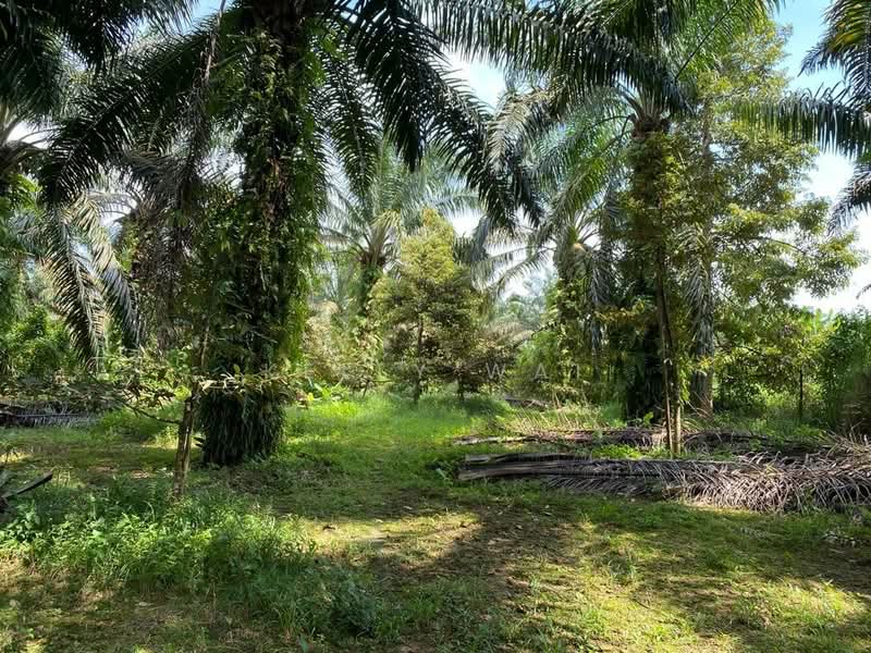 Tanah Pertanian untuk Dijual di Jemaluang (Johor) - Kelly Wai - Garden - PropertyGuru.com.my