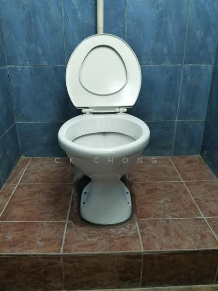 1-storey Terraced House for Sale in Taman Bukit Kuchai (Bandar Kinrara) - CK Chong - Bathroom - PropertyGuru.com.my