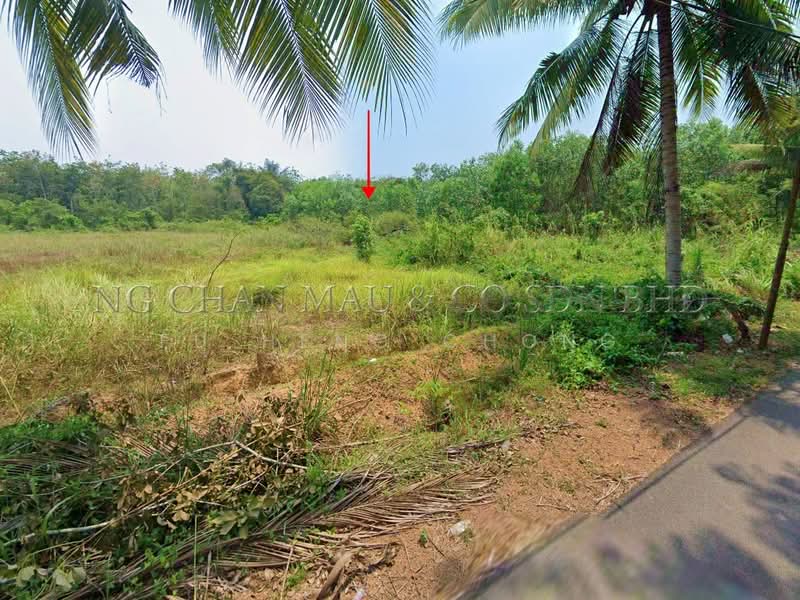 Agricultural Land for Sale in Kampung Jawa (Segamat) - Fu Heng Chong - Exterior - PropertyGuru.com.my