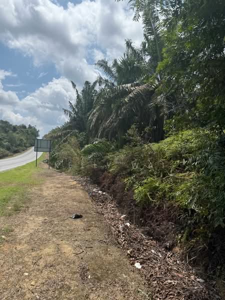 Tanah Pertanian untuk Dijual di Kampung Baru Seelong (Senai) - Kelly Wai - Exterior - PropertyGuru.com.my
