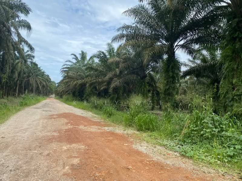 Agricultural Land for Sale in Kota Tinggi (Johor) - Kelly Wai - Exterior - PropertyGuru.com.my