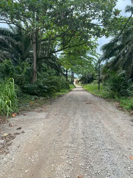 Agricultural Land for Sale in Kota Tinggi (Johor) - Kelly Wai - Exterior - PropertyGuru.com.my