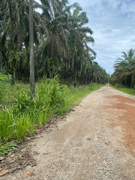 Agricultural Land for Sale in Kota Tinggi (Johor) - Kelly Wai - PropertyGuru.com.my