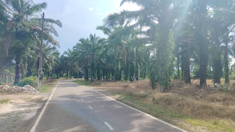 Agricultural Land for Sale in Simpang Renggam (Johor) - Kelly Wai - Exterior - PropertyGuru.com.my