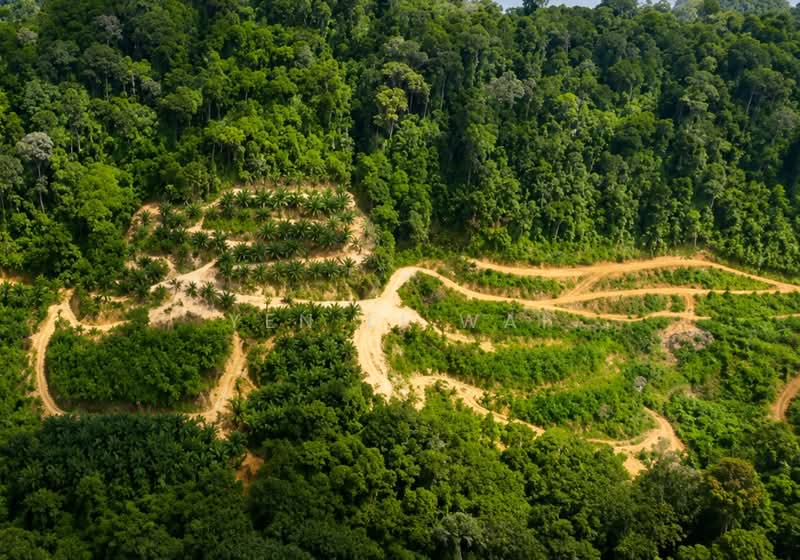 Tanah Pertanian untuk Dijual di Seremban (Negeri Sembilan) - YEN LI WAI - PropertyGuru.com.my