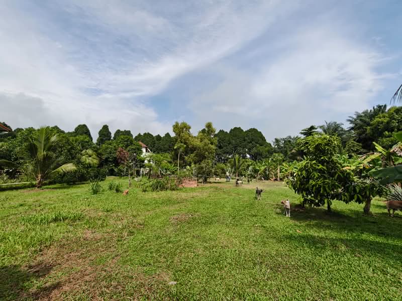 Tanah Pertanian untuk Dijual di Sepang (Selangor) - Janie Wai - Garden - PropertyGuru.com.my