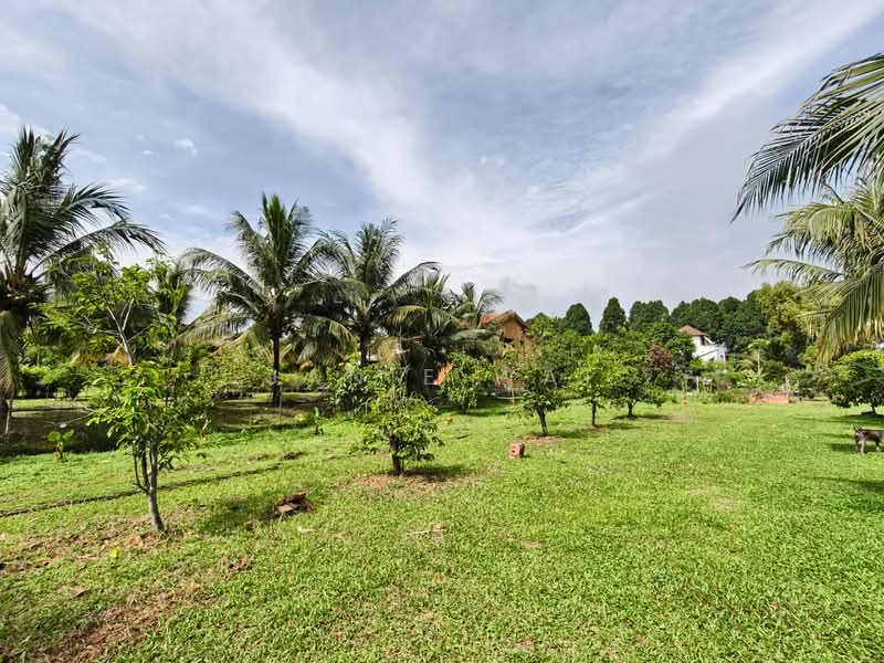 Tanah Pertanian untuk Dijual di Sepang (Selangor) - Janie Wai - Garden - PropertyGuru.com.my
