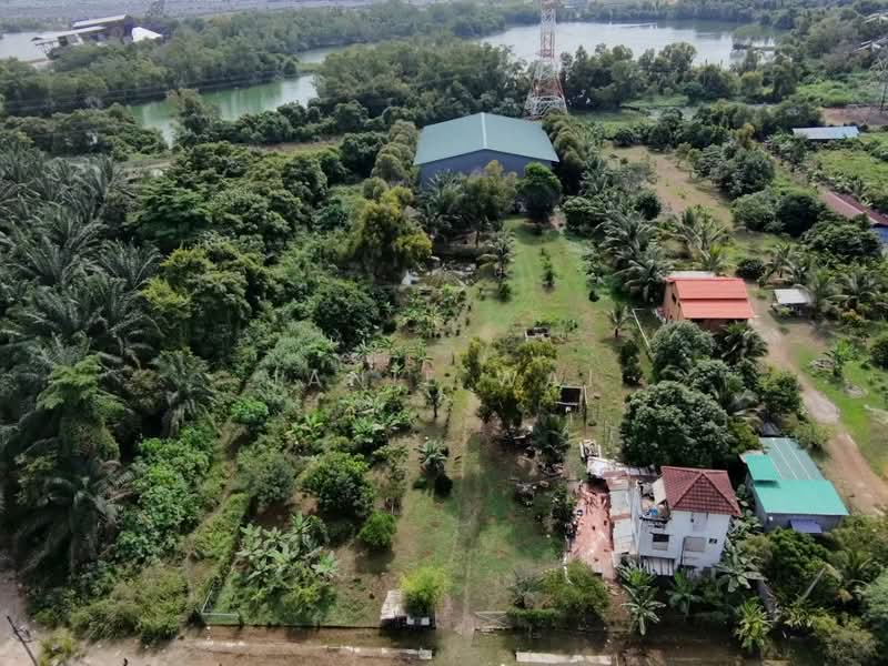Tanah Pertanian untuk Dijual di Sepang (Selangor) - Janie Wai - Exterior - PropertyGuru.com.my
