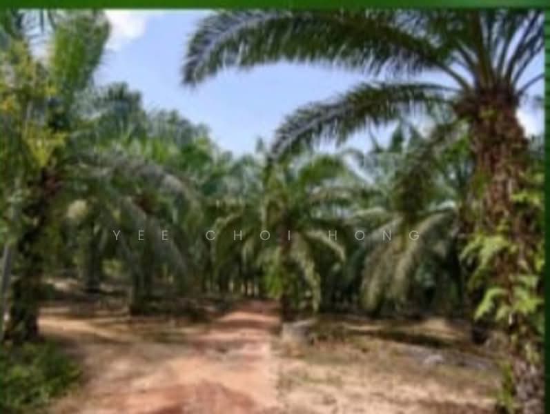 Agricultural Land for Sale in Segamat (Johor) - Yee Choi Hong - Exterior - PropertyGuru.com.my