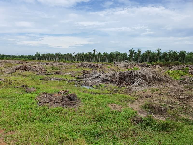 Industrial Land for Rent in Taman Kapar Permai (Kapar) - Jazz Khoo - Exterior - PropertyGuru.com.my