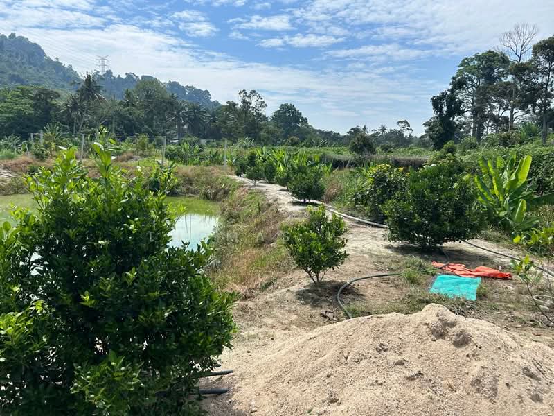Agricultural Land for Sale in Tampin (Negeri Sembilan) - Thomas Lam - Exterior - PropertyGuru.com.my
