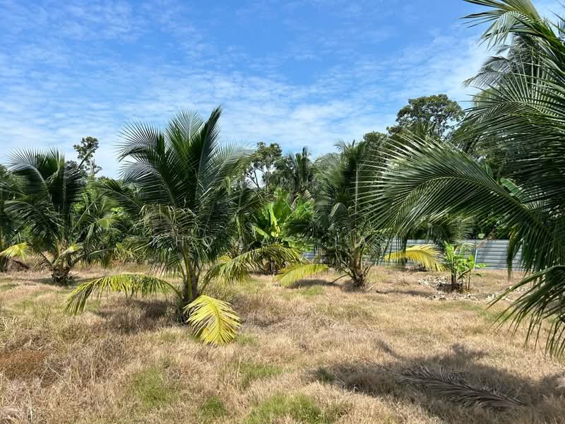Agricultural Land for Sale in Tampin (Negeri Sembilan) - Thomas Lam - Garden - PropertyGuru.com.my
