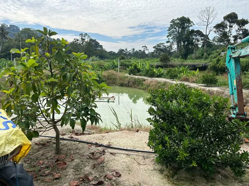 Agricultural Land for Sale in Tampin (Negeri Sembilan) - Thomas Lam - Exterior - PropertyGuru.com.my