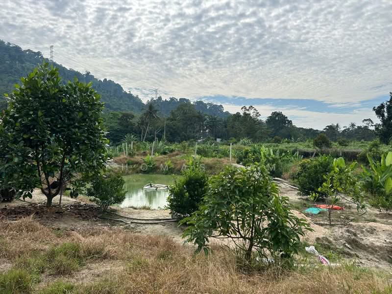 Agricultural Land for Sale in Tampin (Negeri Sembilan) - Thomas Lam - Garden - PropertyGuru.com.my