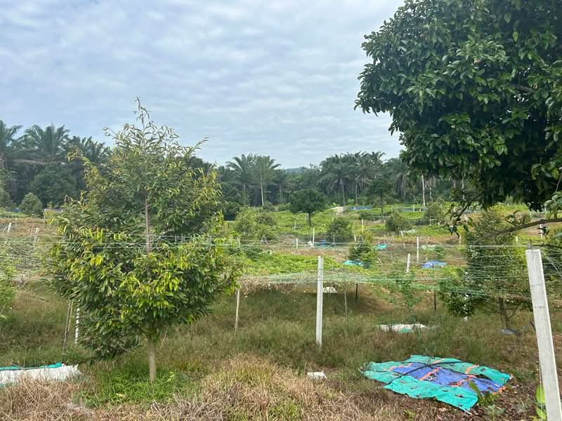 Agricultural Land for Sale in Tampin (Negeri Sembilan) - Thomas Lam - Garden - PropertyGuru.com.my