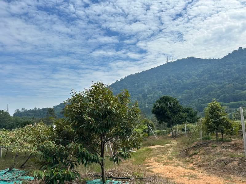 Agricultural Land for Sale in Tampin (Negeri Sembilan) - Thomas Lam - Exterior - PropertyGuru.com.my
