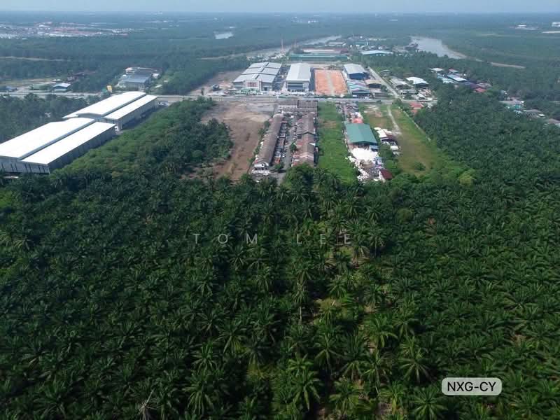 Tanah Pertanian untuk Dijual di Telok Panglima Garang (Jenjarom) - Tom Lee - PropertyGuru.com.my
