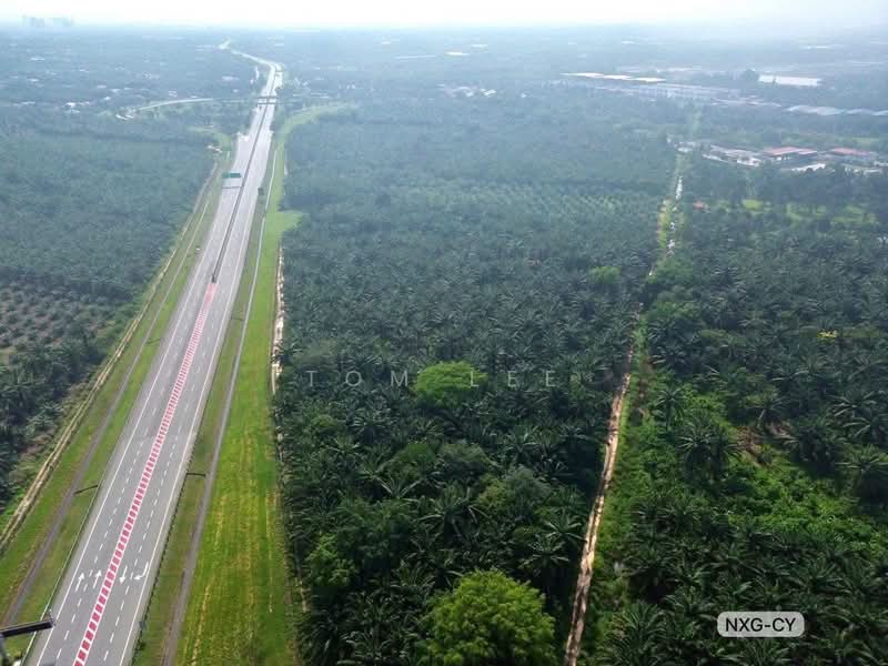 Tanah Pertanian untuk Dijual di Telok Panglima Garang (Jenjarom) - Tom Lee - PropertyGuru.com.my