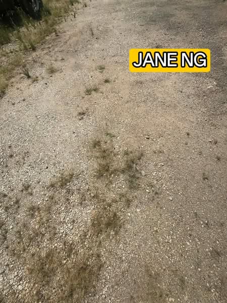 Industrial Land for Rent in Batu Kawan (Penang) - Jane Ng - PropertyGuru.com.my