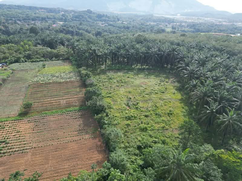Tanah Pertanian untuk Dijual di Labu (Negeri Sembilan) - Mohd Faizal - Exterior - PropertyGuru.com.my