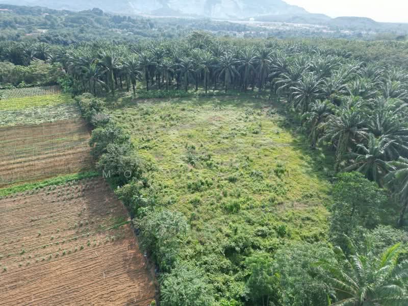 Tanah Pertanian untuk Dijual di Labu (Negeri Sembilan) - Mohd Faizal - Exterior - PropertyGuru.com.my