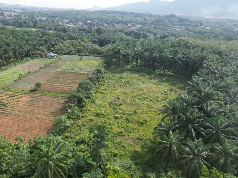Tanah Pertanian untuk Dijual di Labu (Negeri Sembilan) - Mohd Faizal - Exterior - PropertyGuru.com.my